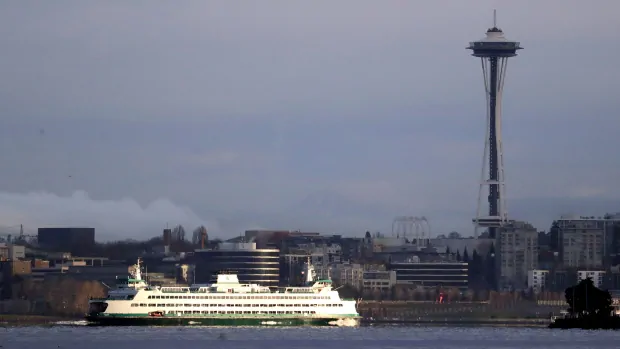 ferry strikes whale