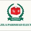 upazila parishad election 0