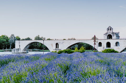 190719 pont davignon unsplash