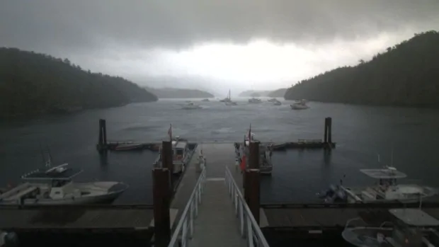 hakai institute webcam