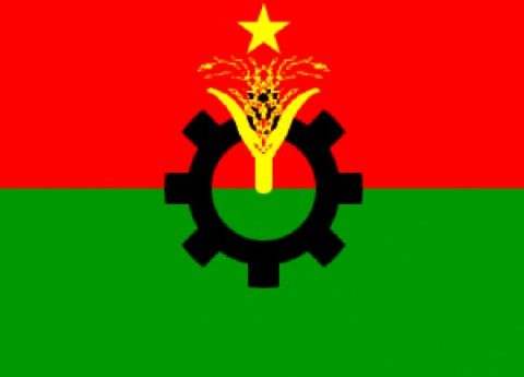 bnp flag 3