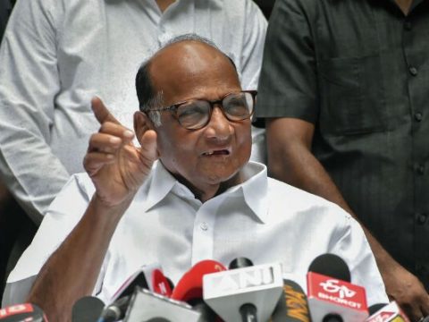 jkenpbn sharad pawar pti 625x300 02 November 19