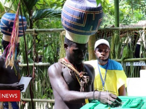 110086856 bougainville