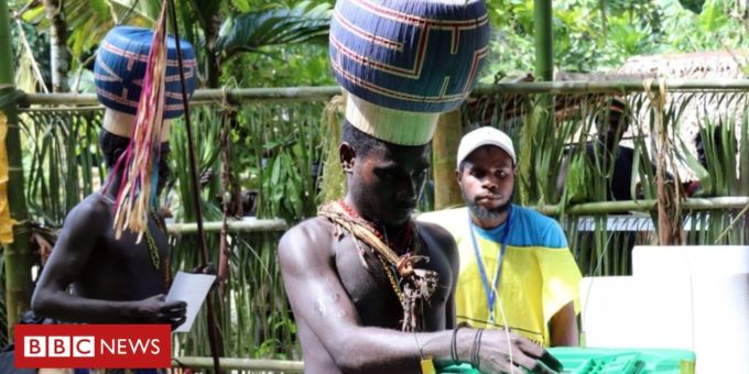 110086856 bougainville