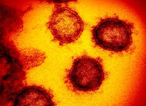 coronavirus outbreak