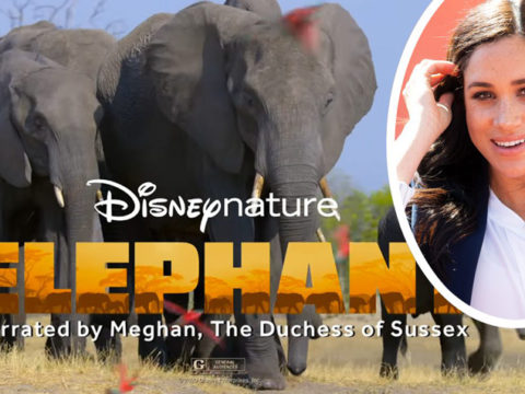 Meghan Markle Disney Elephant Documentary Reviews 1200x714 1