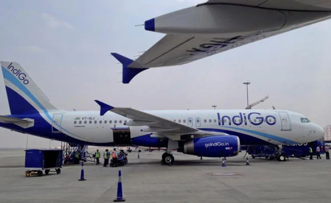 indigo