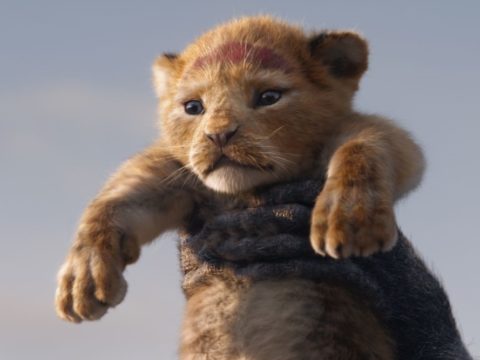 the lion king 1200 6