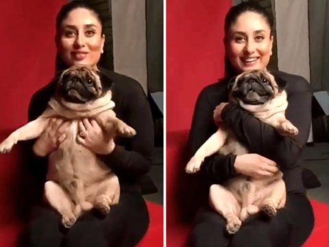 Kareena Kapoor Khan roped in as the brand ambassador of Drools India’s leading dogs and cat’s nutrition brand in India