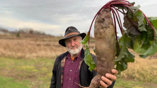 big beet summer