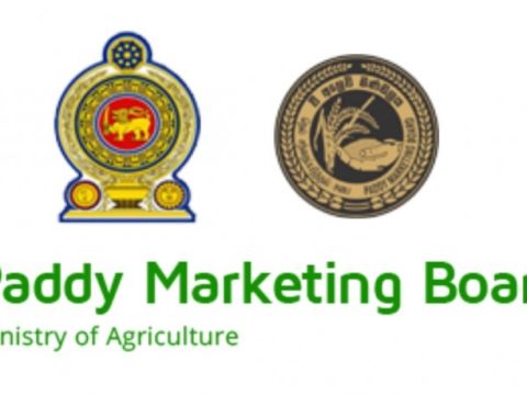 647be8cf paddy marketing board 850x460 acf cropped