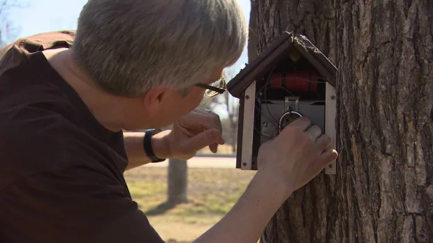 manitoba geocacher jordan mcpeek