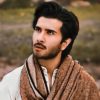 Feroze Khan Tweet about Kashmir