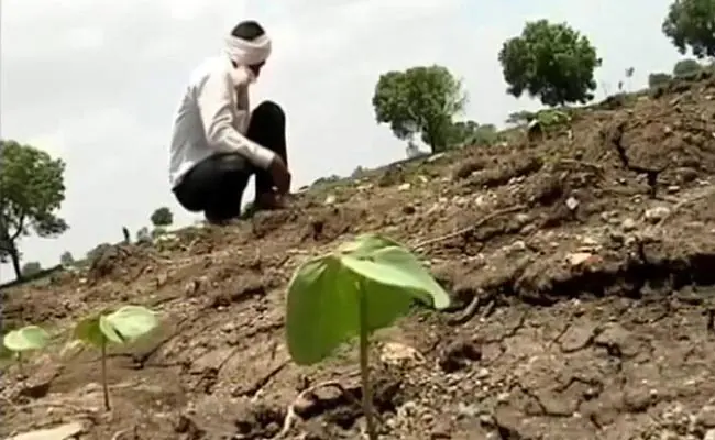 marathwada farming