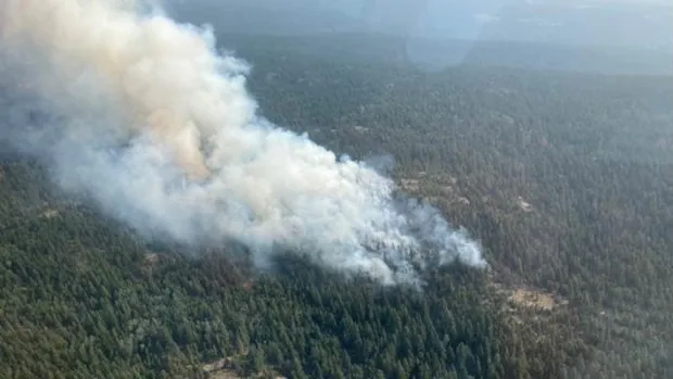 tremont creek fire