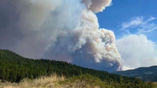 white rock lake fire