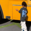 stormi webster school bus header