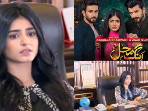 drama serial rang mahal facing backlash for the unrealistic approach scaled