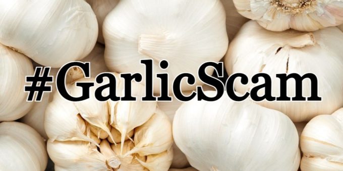 fce070b6 garlicscam 1