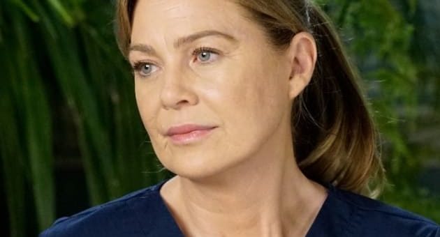 meredith grey on season 17