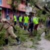 c4gstvmg chennai trees fallen 650 625x300 12 November 21