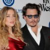 johnny depp amber heard