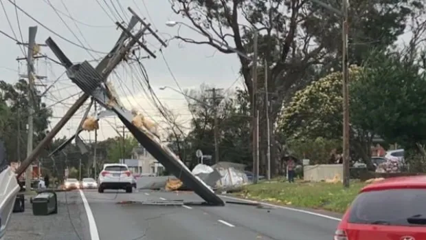 wind damage