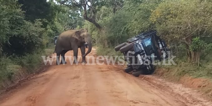 31237a24 ef0ae60f yala elephant attacks 850x460 acf cropped