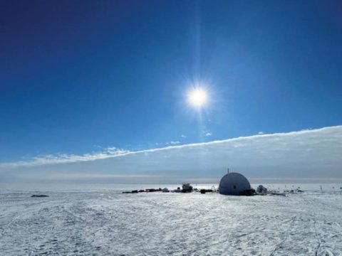 antarctica ecosystem niwa craig stevens 1654939795703