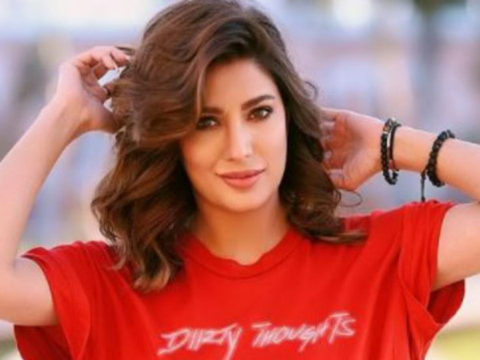 991523 mehwish hayat