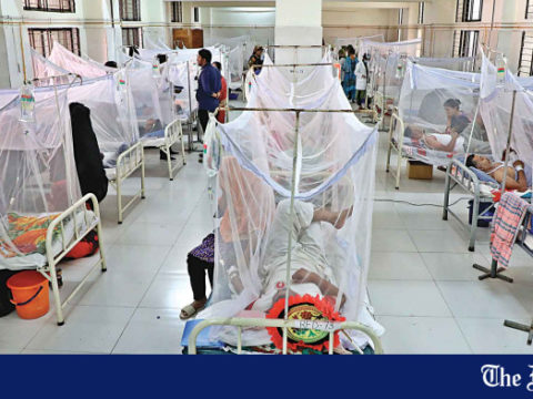 dengue patients