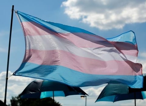 trans flag