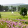 blueberry river first nations