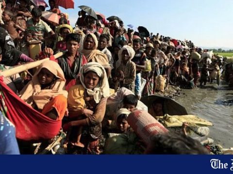 rohingya