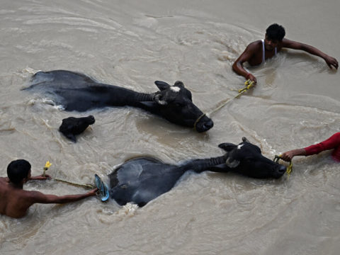 13india flood photostack 01 zhpc facebookJumbo