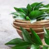 50678um8 curry leaves for hair 625x300 30 January 23