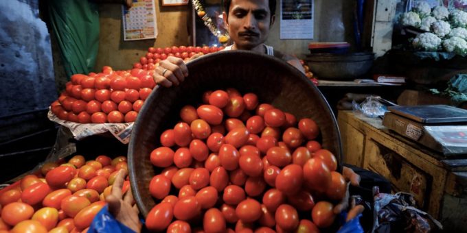 6g0dt5p tomatoes 1200 625x300 10 July 23