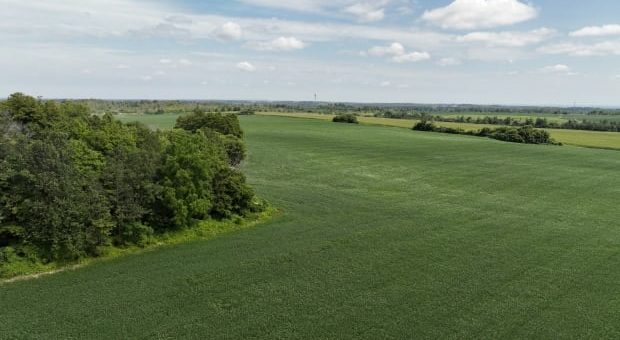 aerial drone views of lush farmland in the duffins creek greenbelt area located south of taunton rd and scarborough pickering townline