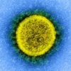 coronavirus sars cov 2