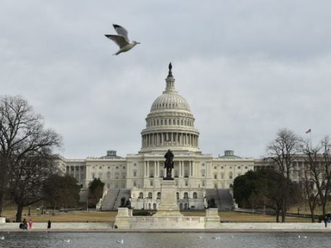 us capitol afp 650x400 71516663503