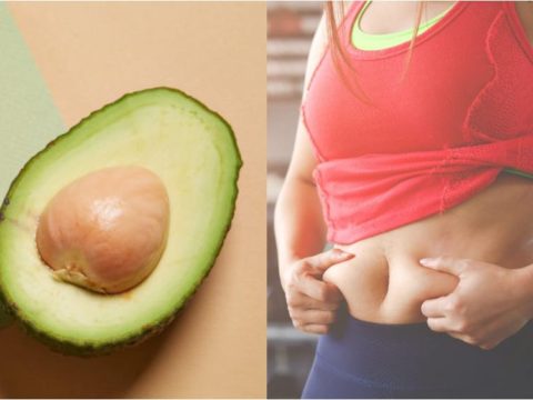 avocado weight loss