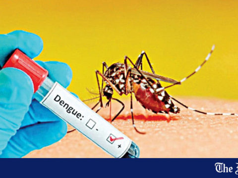 dengue crisis