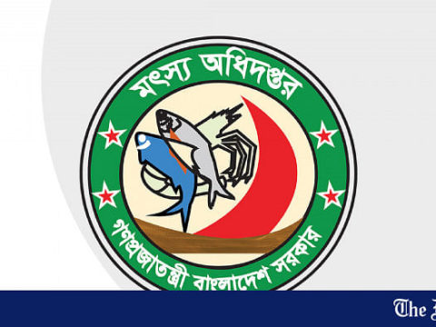 department of fisheries