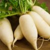 radish 625x350 41461049183