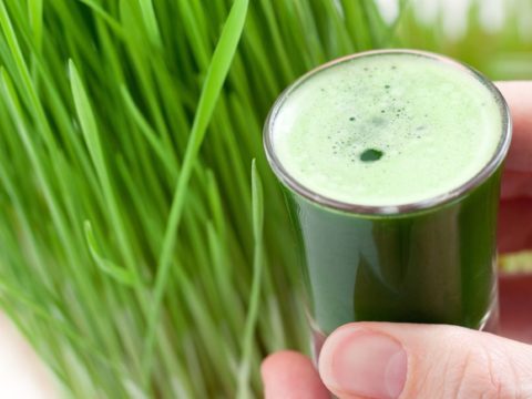 Wheatgrass powder juice1